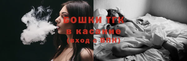 mdpv Горнозаводск
