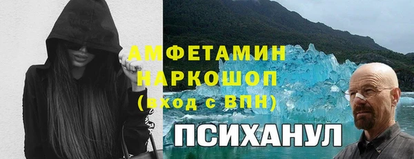 индика Володарск