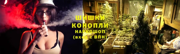 первитин Вяземский