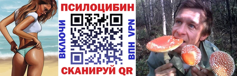 МЕГА ССЫЛКА  Химки  Галлюциногенные грибы MAGIC MUSHROOMS 